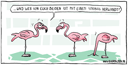 289_flamingo_vogel_strauss_kl