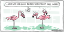 292_flamingo_versteck_kl
