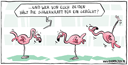 298_flamingo_schwerkraft_kl