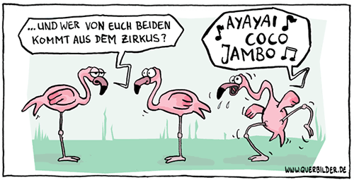 191_flamingo_zirkus